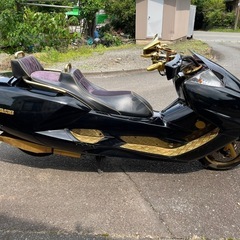 実動　自賠責付　ヤマハ　マグザム　超希少　マスターマインド　限定車の画像