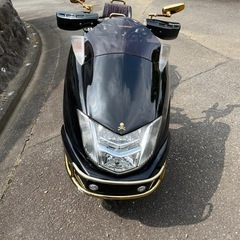 実動　自賠責付　ヤマハ　マグザム　超希少　マスターマインド　限定車の画像