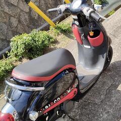HONDA  GIORNO(くまモンバージョン)の画像
