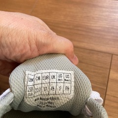 テニスシューズ(カーペット用)の画像