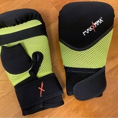 【再値下げ】パンチンググローブ（ウォッシャブルグローブ）空手・ボ...