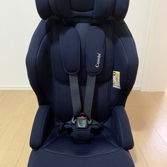 Stussy SS Link Logo クッション83240415N04S