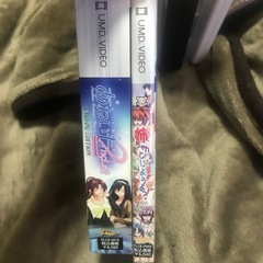 あねいも    お姉ちゃんと…