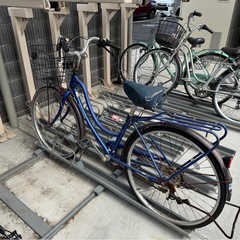 自転車 青