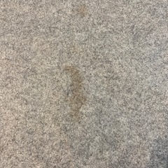 カーペット　ラグ　【取引中】の画像