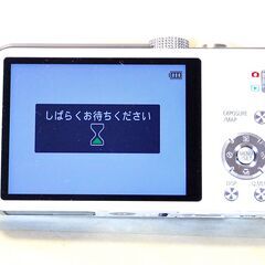 【ジャンク】Panasonic LUMIX DMC-TZ30 充電器・バッテリー2個・充電コード5点セットの画像