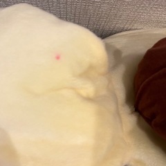 サンリオ　BIGサイズ　ぬいぐるみ　スペシャルセット　②の画像