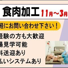短期☆食肉加工〈網走〉