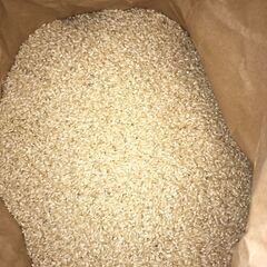  【古米1】玄米　３０ｋｇ　古米（２０２３年収穫）売ります。