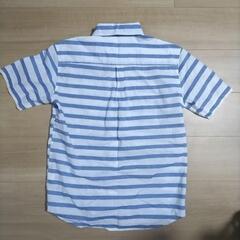 半袖シャツ②の画像