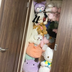 【至急】ぬいぐるみ引き取ってください