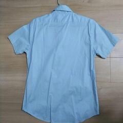 プリントシャツの画像