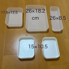 100均　小物整理トレー