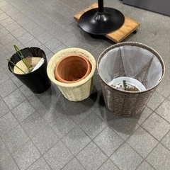 【美品】鉢植え 3点セット 観葉植物 ガーデニング