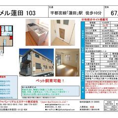 キャメル蓮田 103号室、宇都宮線「蓮田」徒歩10分、広さ42.20㎡、敷金０礼金０、1LDKの募集です。 - 不動産