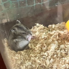 生き物大好き仲間のグルチャ！