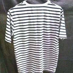 ボーダーTシャツの画像