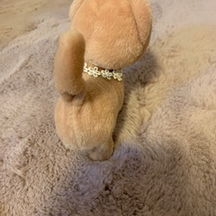 まねっこお喋り歩く猫ちゃんの画像