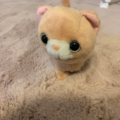 まねっこお喋り歩く猫ちゃん