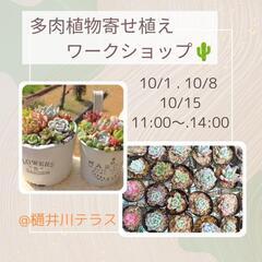 🌵多肉植物寄せ植えワークショップ