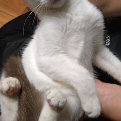 ★トライアルが決まりました★ありがとうございます！