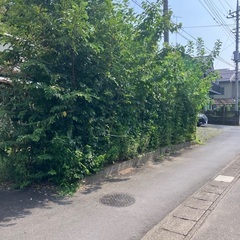 庭の草刈り、庭木の剪定、畑の管理等お手伝い致します。