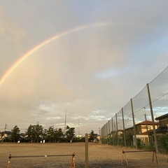 ソフトボールやりませんか？( *´꒳`*)