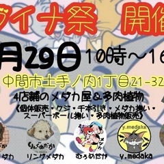 ☆メダカ祭り☆in中間