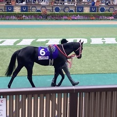 競馬友達募集
