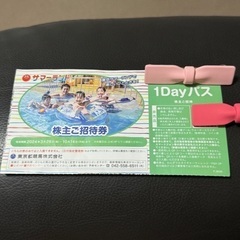 東京サマーランド　チケット