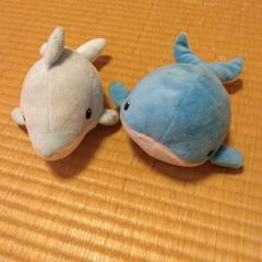 いるかちゃんくじらちゃんまとめての画像