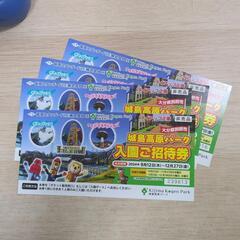 城島高原パークの入園券