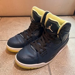 Jordan SC-1 'Squadron Blue' Nike