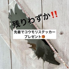 ハロウィン 飾り付け 装飾 ガーランド（ジャック&リーフver.）USB給電の画像