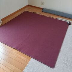 ホットカーペット