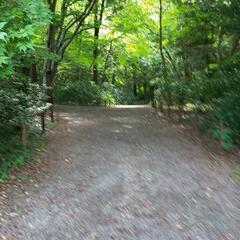 誰にも言えない悩み　お聞きします