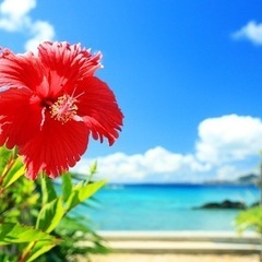 沖縄旅行♪