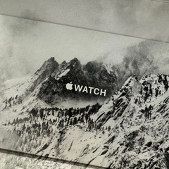 【美品】Apple Watch Ultra2 インディゴアルパインループM　 