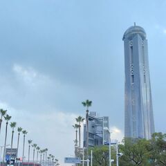 11/3下関海響マラソン走った後、みんなで一緒に乾杯🍻しませんか？