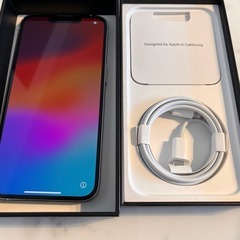 一時値下げ！【美品/訳あり】iPhone13Pro(256GB)シルバー iPhone 13 Pro Max 256GB シルバー Amazon.com: Apple iPhone 13 Pro
