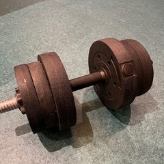 可変式ダンベル最大12kgくらい