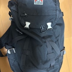 ベンデイビス　リュック