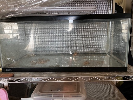 でっかい水槽【受け渡し者決定しました】