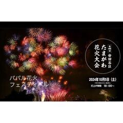 9/29(日)本日まで出品　パパル花火フェス2024 チケット2...