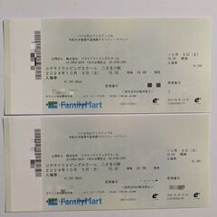 9/29(日)本日まで出品　パパル花火フェス2024 チケット2枚　送料込　たまがわ花火大会の画像