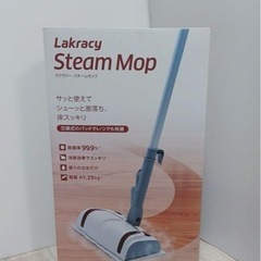 今週中のみSALE‼️スチームクリーナー 