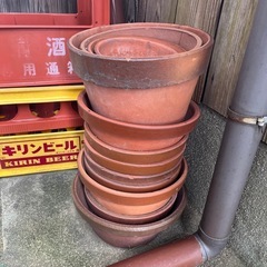 植木鉢