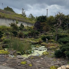 キャンプ　焚火用　松　木材　日本庭園　巨大な石