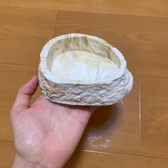 爬虫類水入れの画像