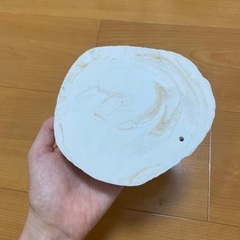 爬虫類水入れの画像